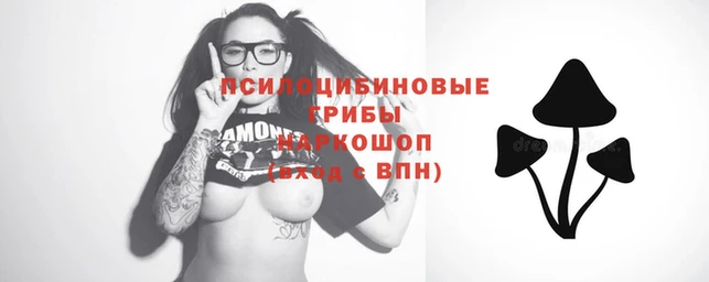 тгк Зеленокумск